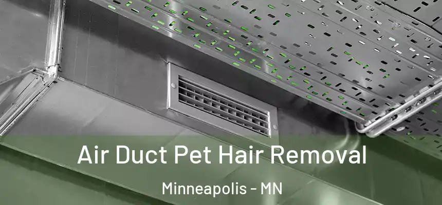  Air Duct Pet Hair Removal Minneapolis - MN