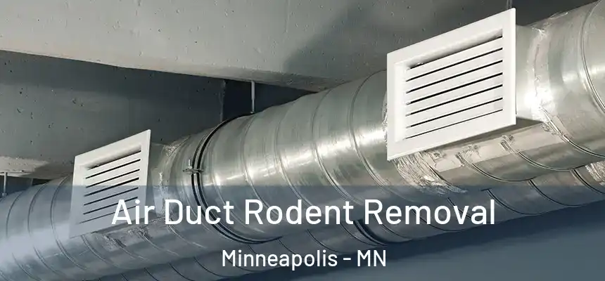  Air Duct Rodent Removal Minneapolis - MN
