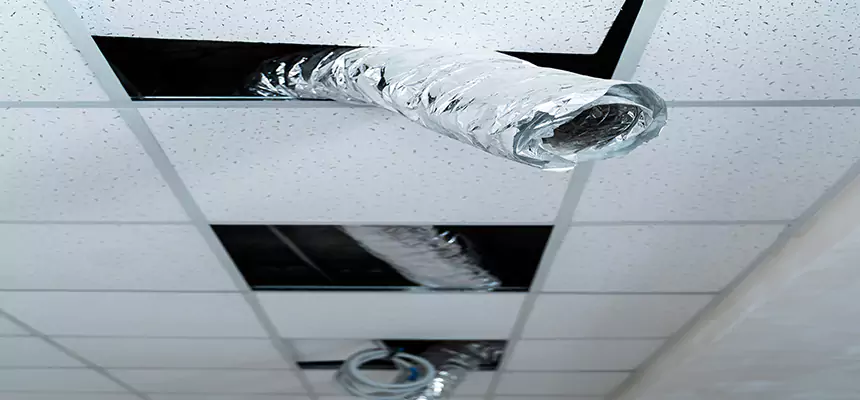 Our Air Duct Pet Hair Removal Services in Minneapolis, MN