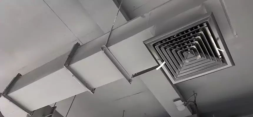 Our Pest Removal From Ducts Services in Minneapolis, MN