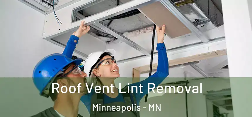  Roof Vent Lint Removal Minneapolis - MN