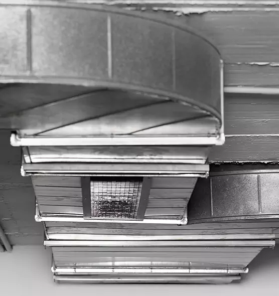 Professional Air Duct Pest Removal in Minneapolis, MN