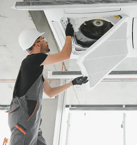 About Air Duct Rodent Removal in Minneapolis, MN