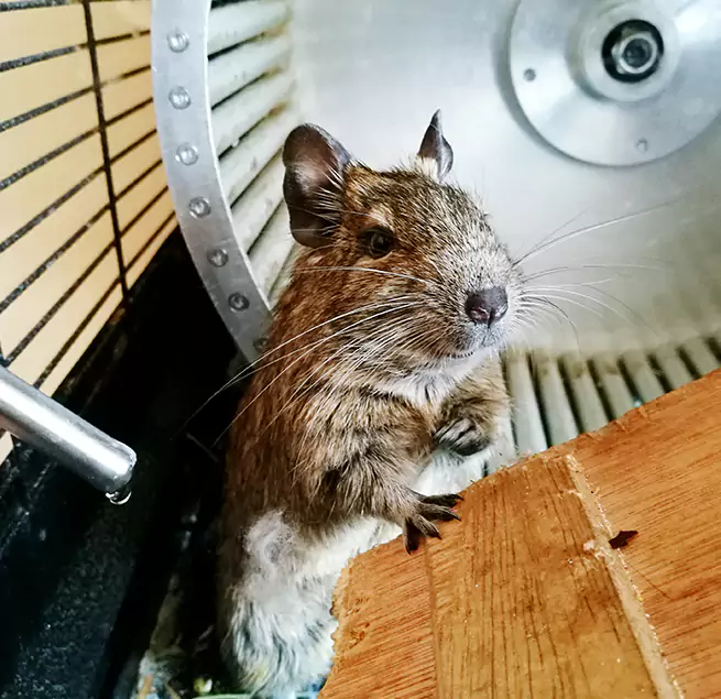 Why Homeowners & Businesses Trust Us Minneapolis, MN?