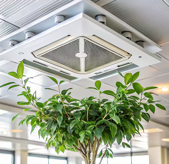 Why Homeowners & Businesses Trust Us in Minneapolis, MN?