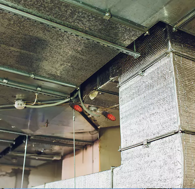 Why Homeowners & Businesses Trust Us Minneapolis, MN?